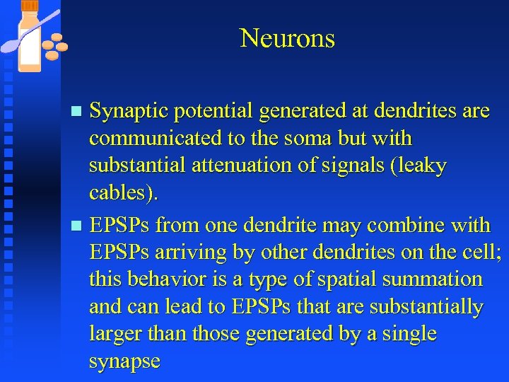 Neurons Synaptic potential generated at dendrites are communicated to the soma but with substantial