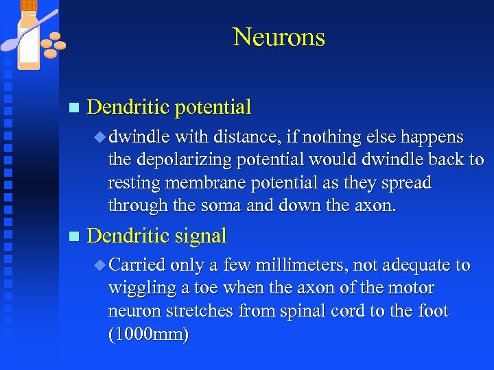 Neurons n Dendritic potential u dwindle with distance, if nothing else happens the depolarizing