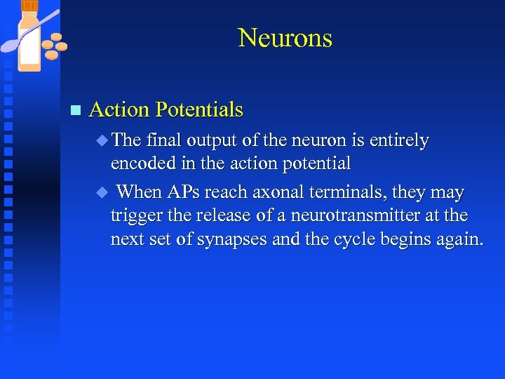 Neurons n Action Potentials u The final output of the neuron is entirely encoded