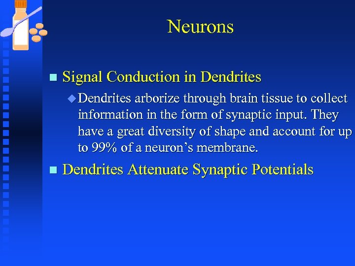 Neurons n Signal Conduction in Dendrites u Dendrites arborize through brain tissue to collect