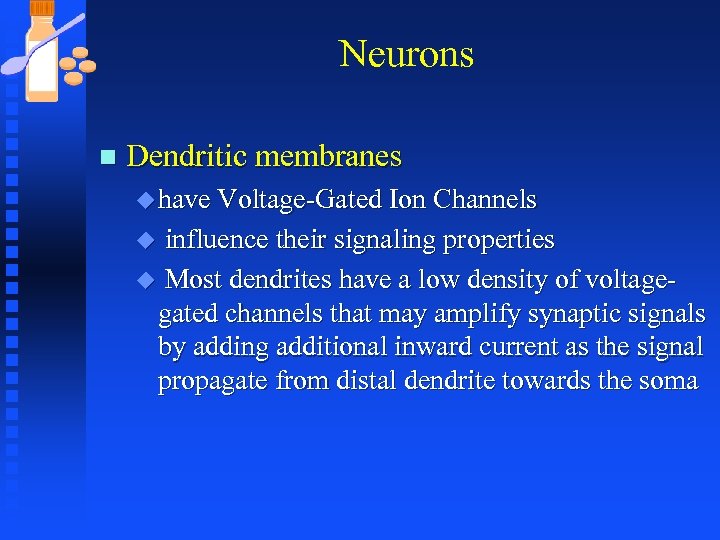 Neurons n Dendritic membranes u have Voltage-Gated Ion Channels influence their signaling properties u