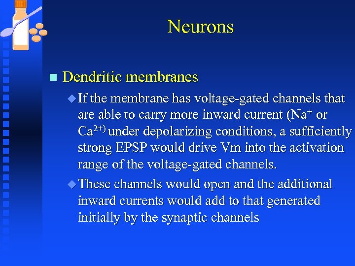 Neurons n Dendritic membranes u If the membrane has voltage-gated channels that are able