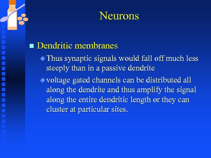 Neurons n Dendritic membranes u Thus synaptic signals would fall off much less steeply