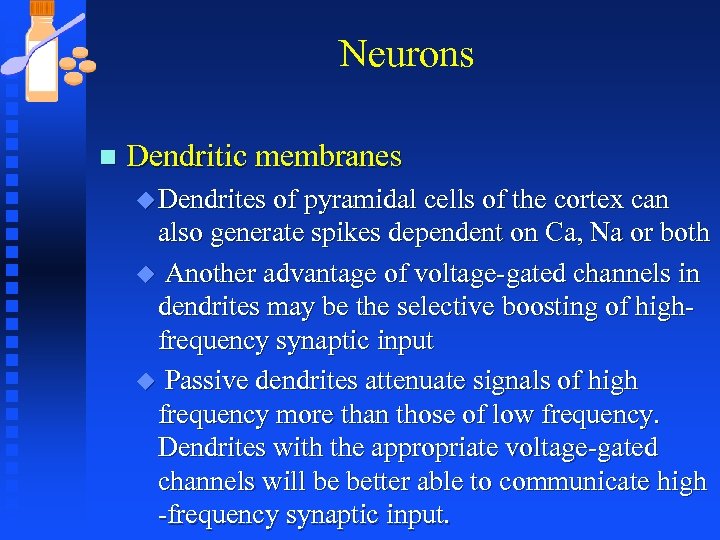 Neurons n Dendritic membranes u Dendrites of pyramidal cells of the cortex can also