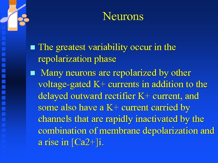 Neurons The greatest variability occur in the repolarization phase n Many neurons are repolarized