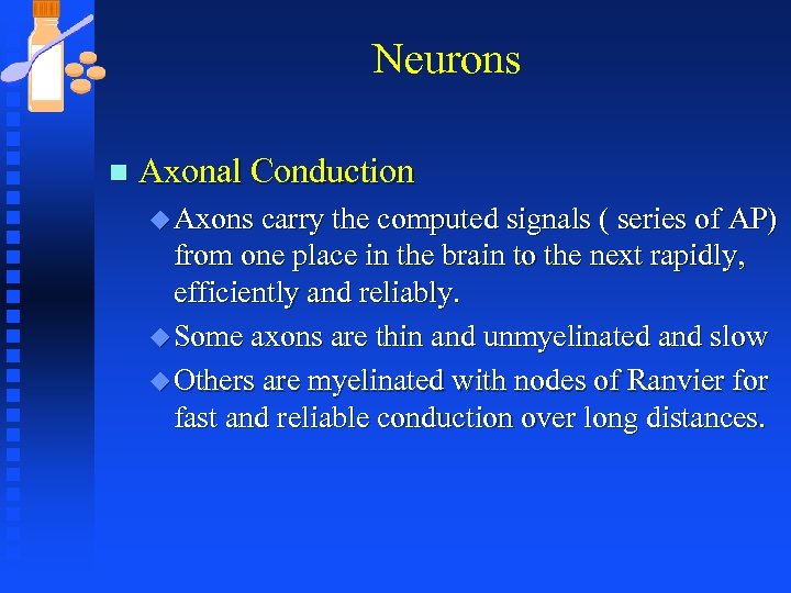 Neurons n Axonal Conduction u Axons carry the computed signals ( series of AP)