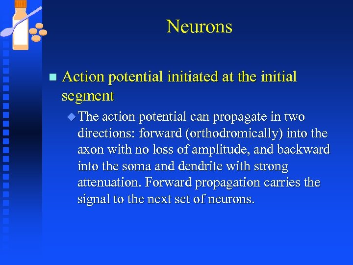 Neurons n Action potential initiated at the initial segment u The action potential can