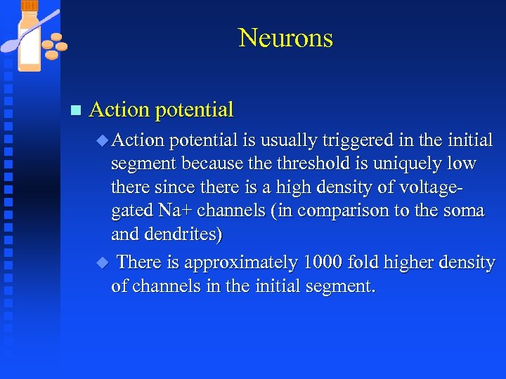 Neurons n Action potential u Action potential is usually triggered in the initial segment