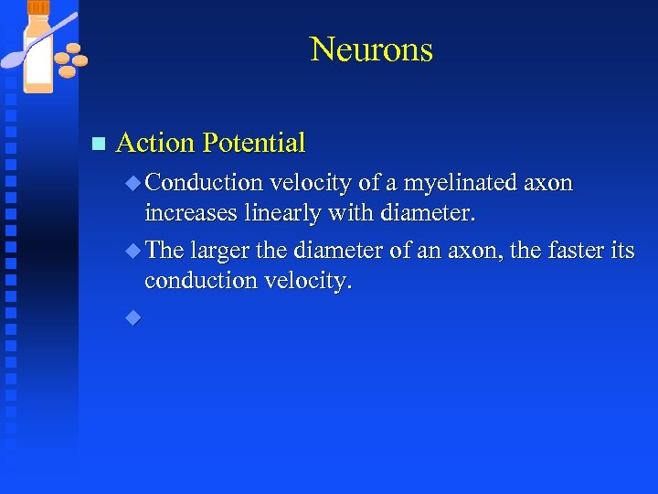 Neurons n Action Potential u Conduction velocity of a myelinated axon increases linearly with