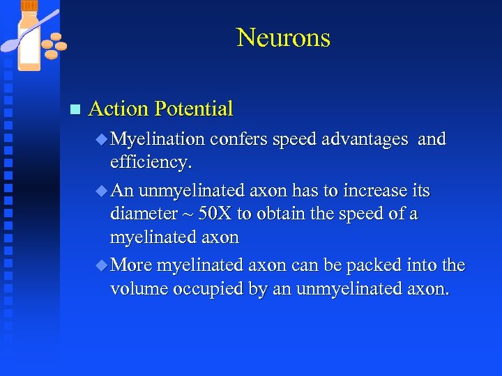 Neurons n Action Potential u Myelination confers speed advantages and efficiency. u An unmyelinated