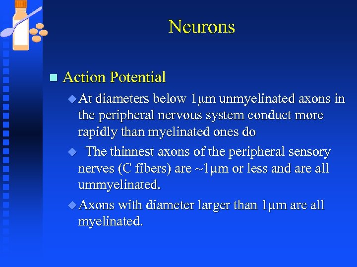 Neurons n Action Potential u At diameters below 1µm unmyelinated axons in the peripheral