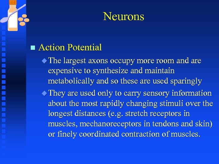 Neurons n Action Potential u The largest axons occupy more room and are expensive