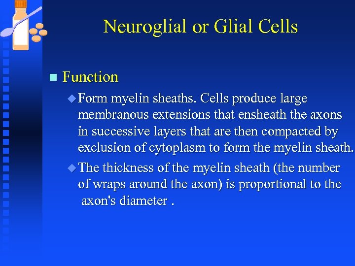 Neuroglial or Glial Cells n Function u Form myelin sheaths. Cells produce large membranous