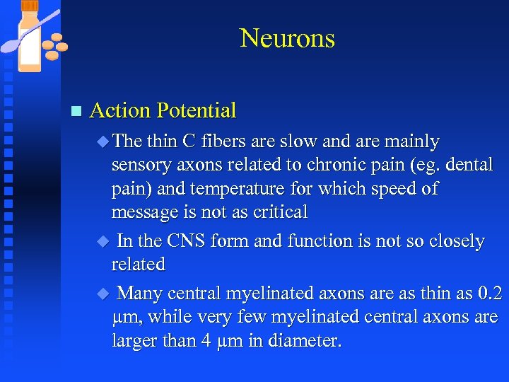 Neurons n Action Potential u The thin C fibers are slow and are mainly