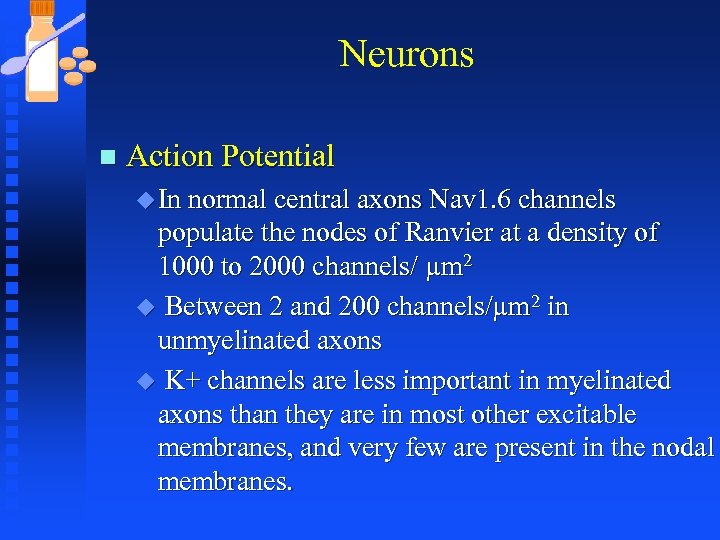 Neurons n Action Potential u In normal central axons Nav 1. 6 channels populate