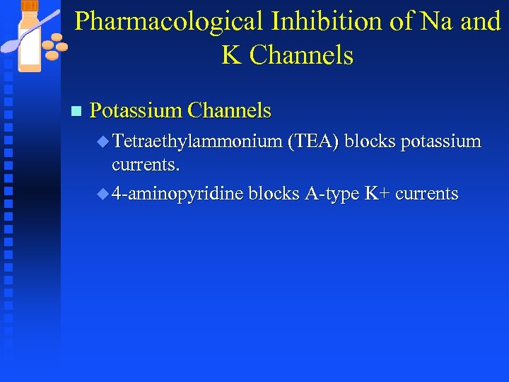 Pharmacological Inhibition of Na and K Channels n Potassium Channels u Tetraethylammonium (TEA) blocks