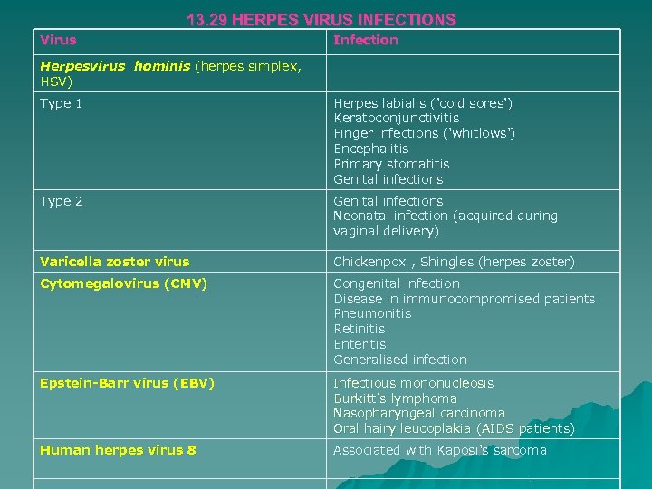 13. 29 HERPES VIRUS INFECTIONS Virus Infection Herpesvirus hominis (herpes simplex, HSV) Type 1