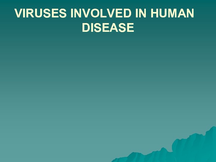 VIRUSES INVOLVED IN HUMAN DISEASE 