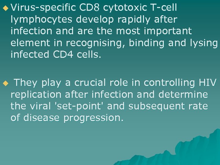 u Virus-specific CD 8 cytotoxic T-cell lymphocytes develop rapidly after infection and are the