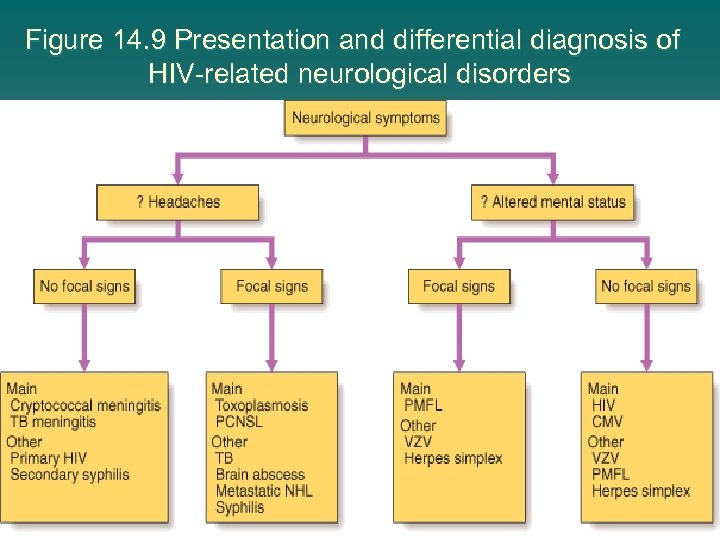 Figure 14. 9 Presentation and differential diagnosis of HIV-related neurological disorders 