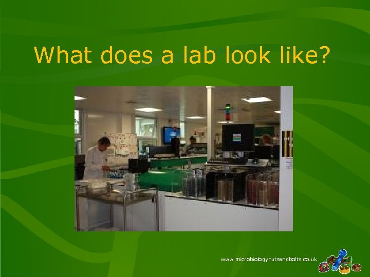 What does a lab look like? www. microbiologynutsandbolts. co. uk 