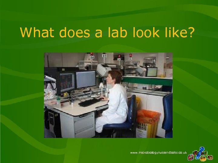 What does a lab look like? www. microbiologynutsandbolts. co. uk 