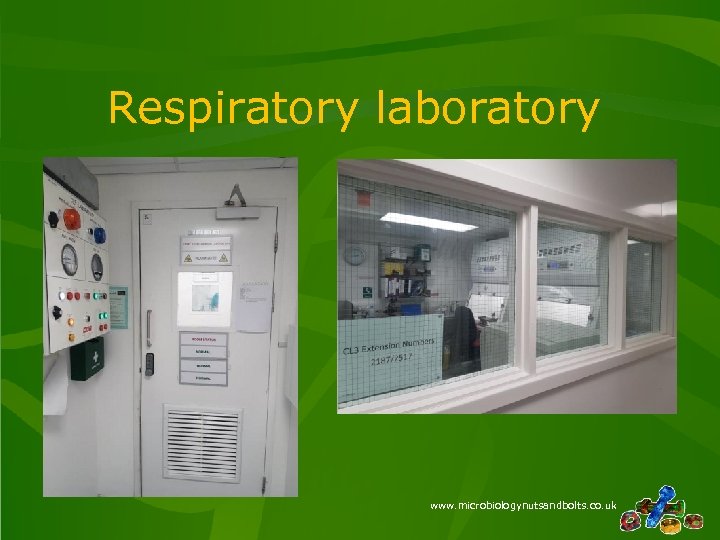 Respiratory laboratory www. microbiologynutsandbolts. co. uk 