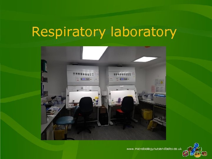 Respiratory laboratory www. microbiologynutsandbolts. co. uk 