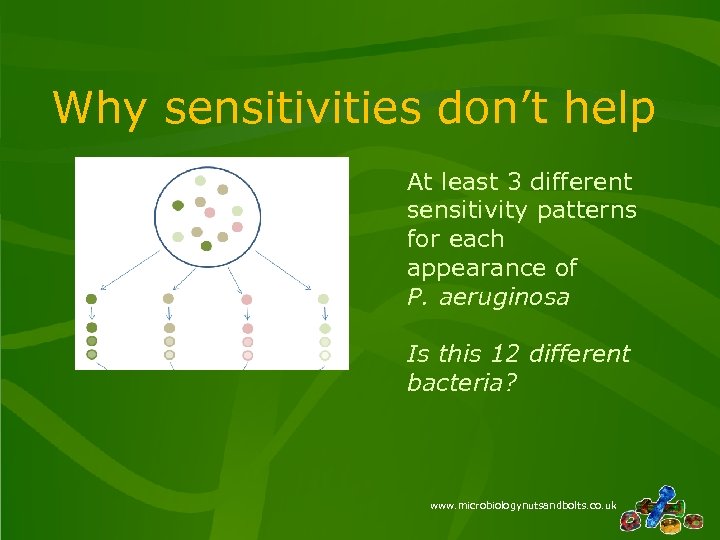 Why sensitivities don’t help At least 3 different sensitivity patterns for each appearance of