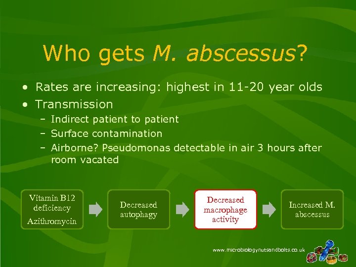 Who gets M. abscessus? • Rates are increasing: highest in 11 -20 year olds