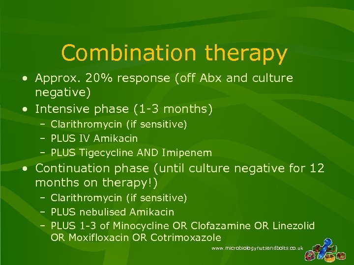Combination therapy • Approx. 20% response (off Abx and culture negative) • Intensive phase