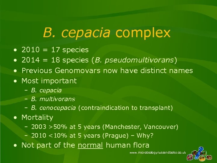 B. cepacia complex • • 2010 = 17 species 2014 = 18 species (B.
