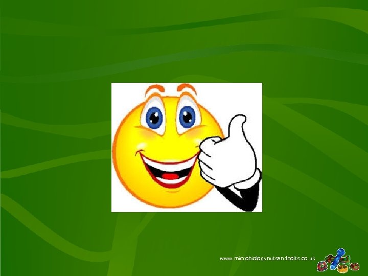 www. microbiologynutsandbolts. co. uk 