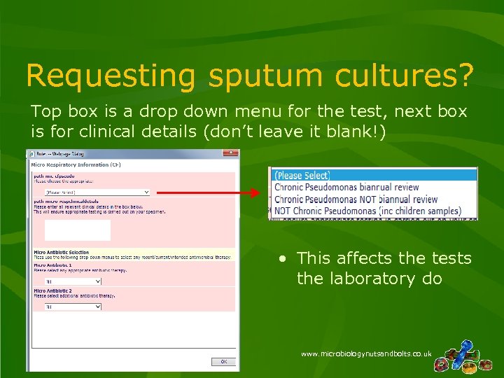 Requesting sputum cultures? Top box is a drop down menu for the test, next