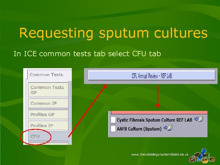 Requesting sputum cultures In ICE common tests tab select CFU tab www. microbiologynutsandbolts. co.