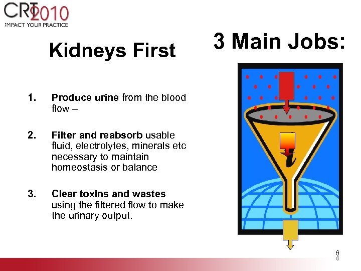 Kidneys First 1. Produce urine from the blood flow – 2. Filter and reabsorb