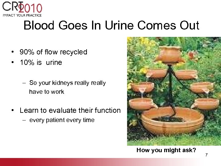 Blood Goes In Urine Comes Out • 90% of flow recycled • 10% is