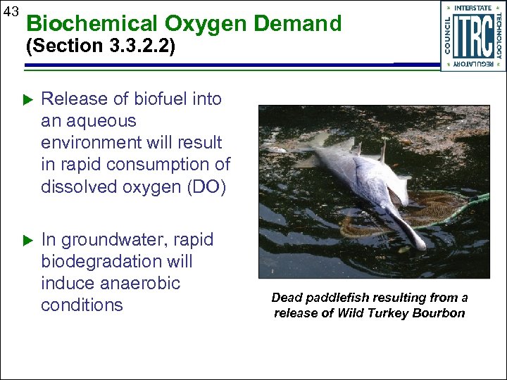 43 Biochemical Oxygen Demand (Section 3. 3. 2. 2) u Release of biofuel into