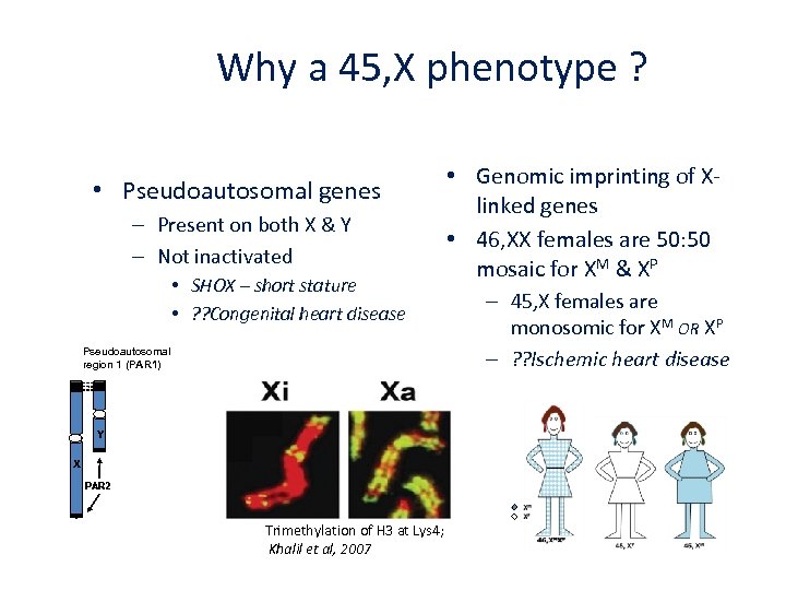 Why a 45, X phenotype ? • Pseudoautosomal genes – Present on both X