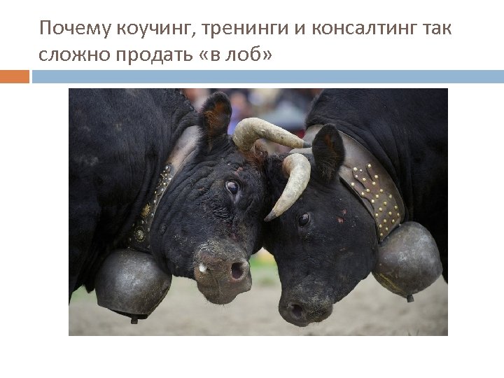 Почему коучинг, тренинги и консалтинг так сложно продать «в лоб» 