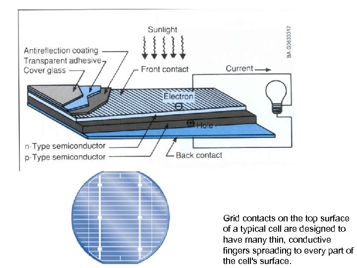 Grid contacts on the top surface of a typical cell are designed to have