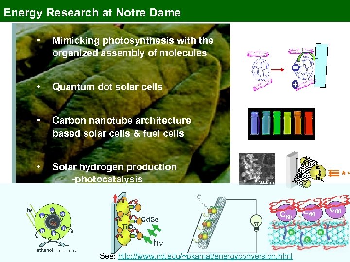 Energy Research at Notre Dame • Mimicking photosynthesis with the organized assembly of molecules