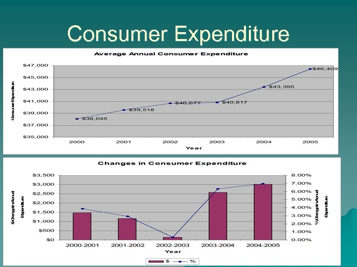 Consumer Expenditure 