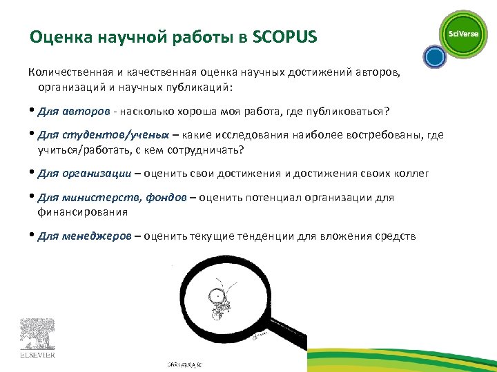 Оценка научной работы в SCOPUS Количественная и качественная оценка научных достижений авторов, организаций и