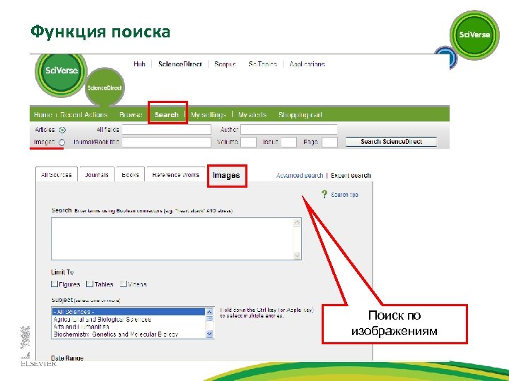 Функция поиска Поиск по изображениям 