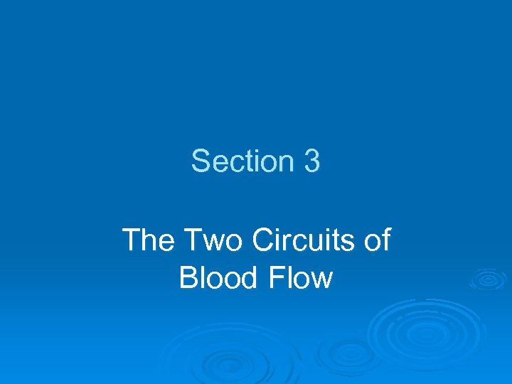 Section 3 The Two Circuits of Blood Flow 