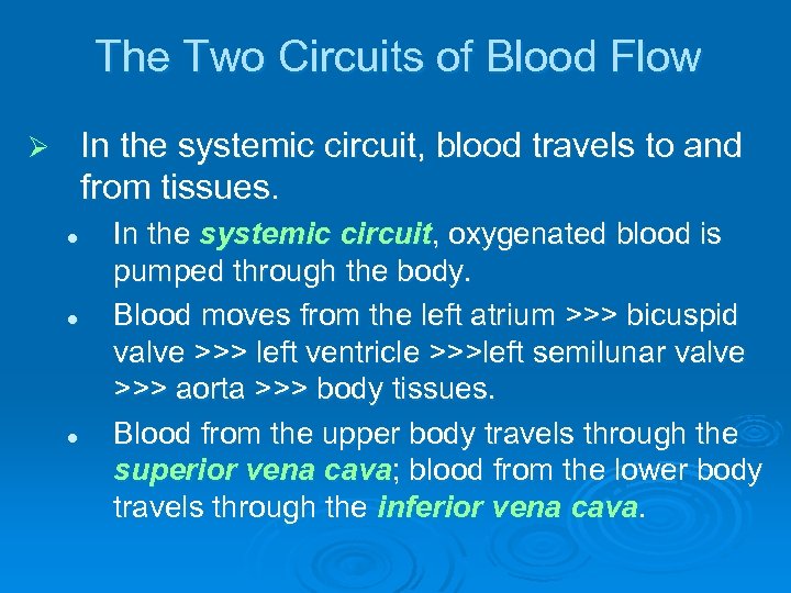 The Two Circuits of Blood Flow In the systemic circuit, blood travels to and