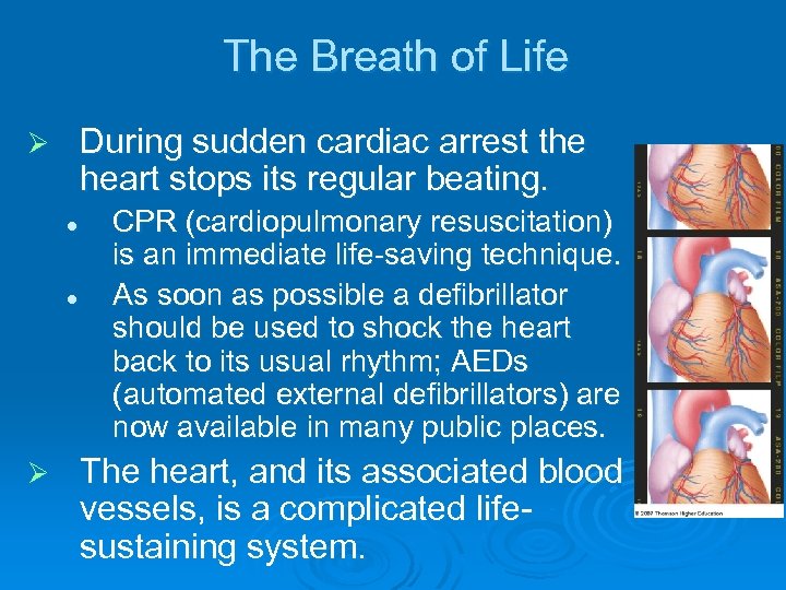 The Breath of Life During sudden cardiac arrest the heart stops its regular beating.