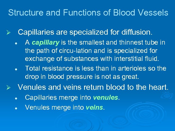 Structure and Functions of Blood Vessels Capillaries are specialized for diffusion. Ø l l