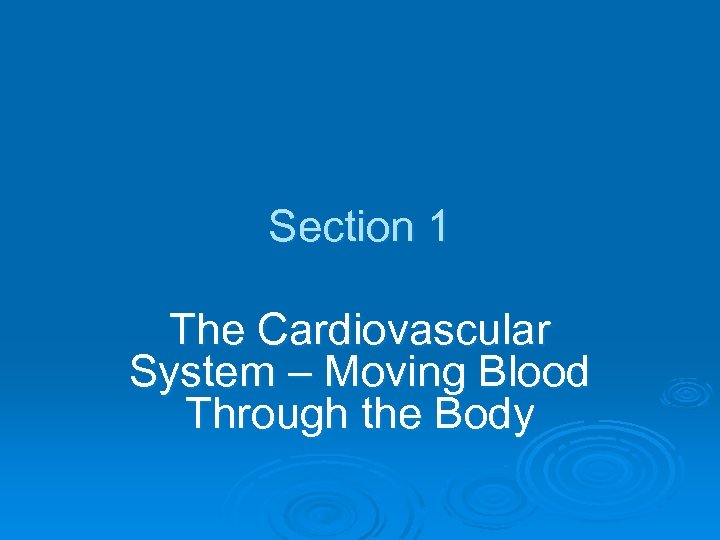Section 1 The Cardiovascular System – Moving Blood Through the Body 